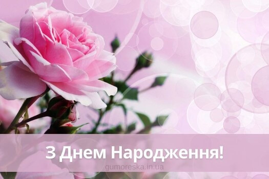 привітання з днем народження жінці квіти картинка скачати безкоштовно