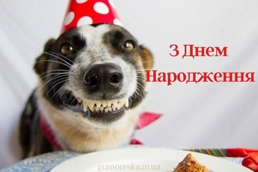 відкритки з днем народження українською мовою