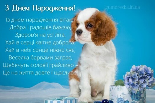 вітання з днем народження откритка українською мовою