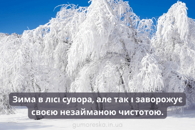 Цитати про зиму та чари для інстаграму Українською мовою скачати безкоштовно