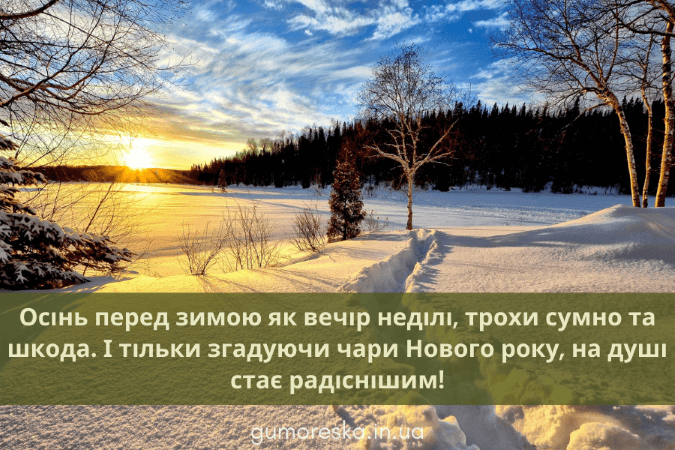 Зимові цитати для інстаграму про початок зими Українською мовою скачати безкоштовно
