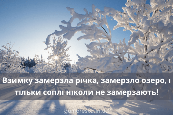 Прикольні та смішні підписи зимові цитати і статуси для інстаграму Українською мовою скачати безкоштовно