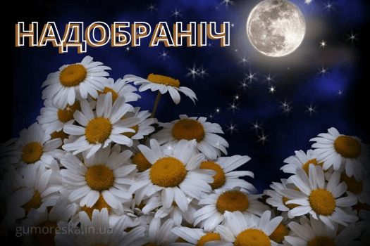 на добраніч картинки доброї ночі українською