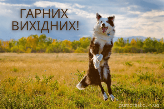 картинки веселих вихідних скачати українською мовою