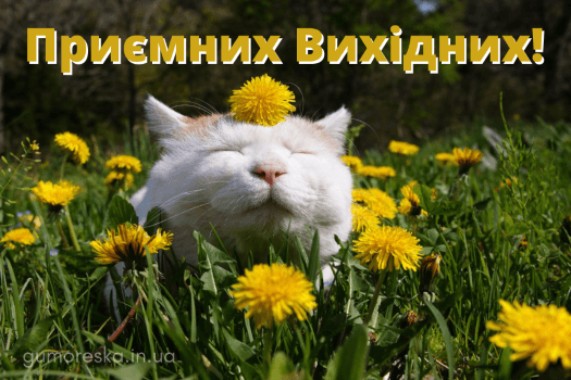 гарних вихідних прикольні картинки скачати українською мовою