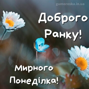 фото побажання картинки доброго ранку понеділка на українській мові