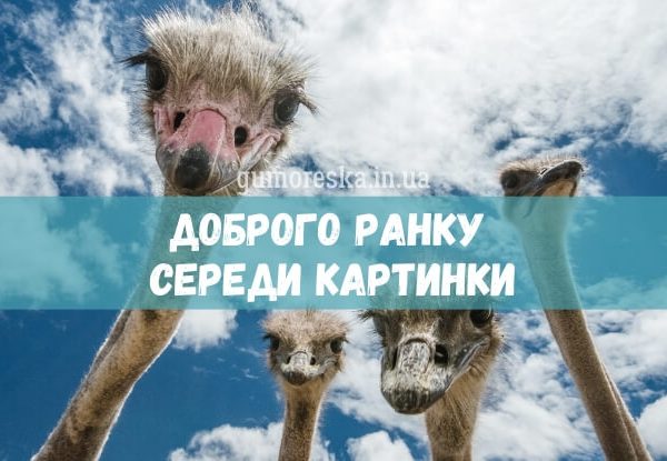 Доброго ранку середа картинки - гарної середи