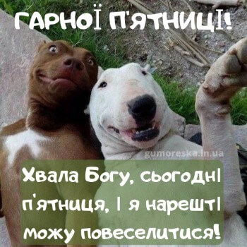 смішні гарної п'ятниці картинки українською мовою