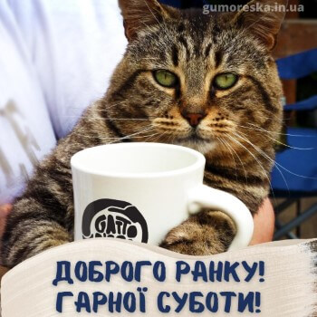 смішна доброго ранку субота картинки українською мовою