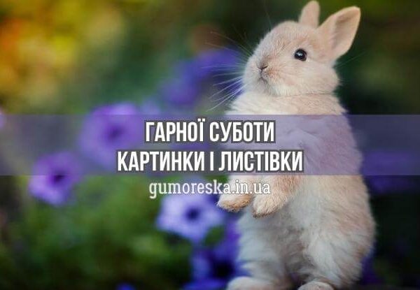 Доброго суботнього ранку картинки українською