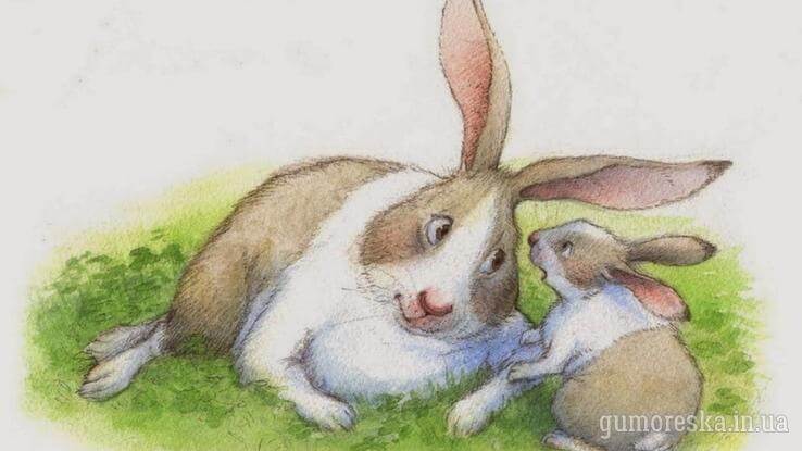Вірш для дітей Заєць і кролик