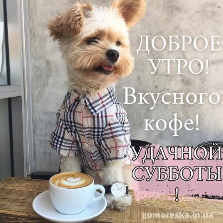 открытки с добрым утром кофе на субботу скачать на русском