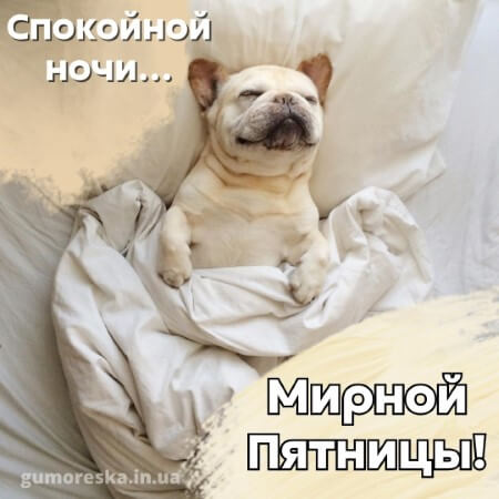 доброй ночи пятница открытка скачать на русском