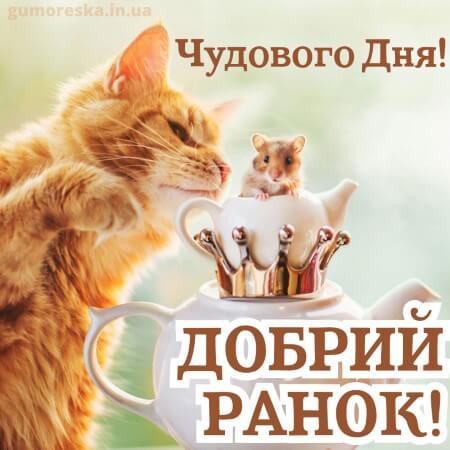 картинки доброго ранку з коти українською
