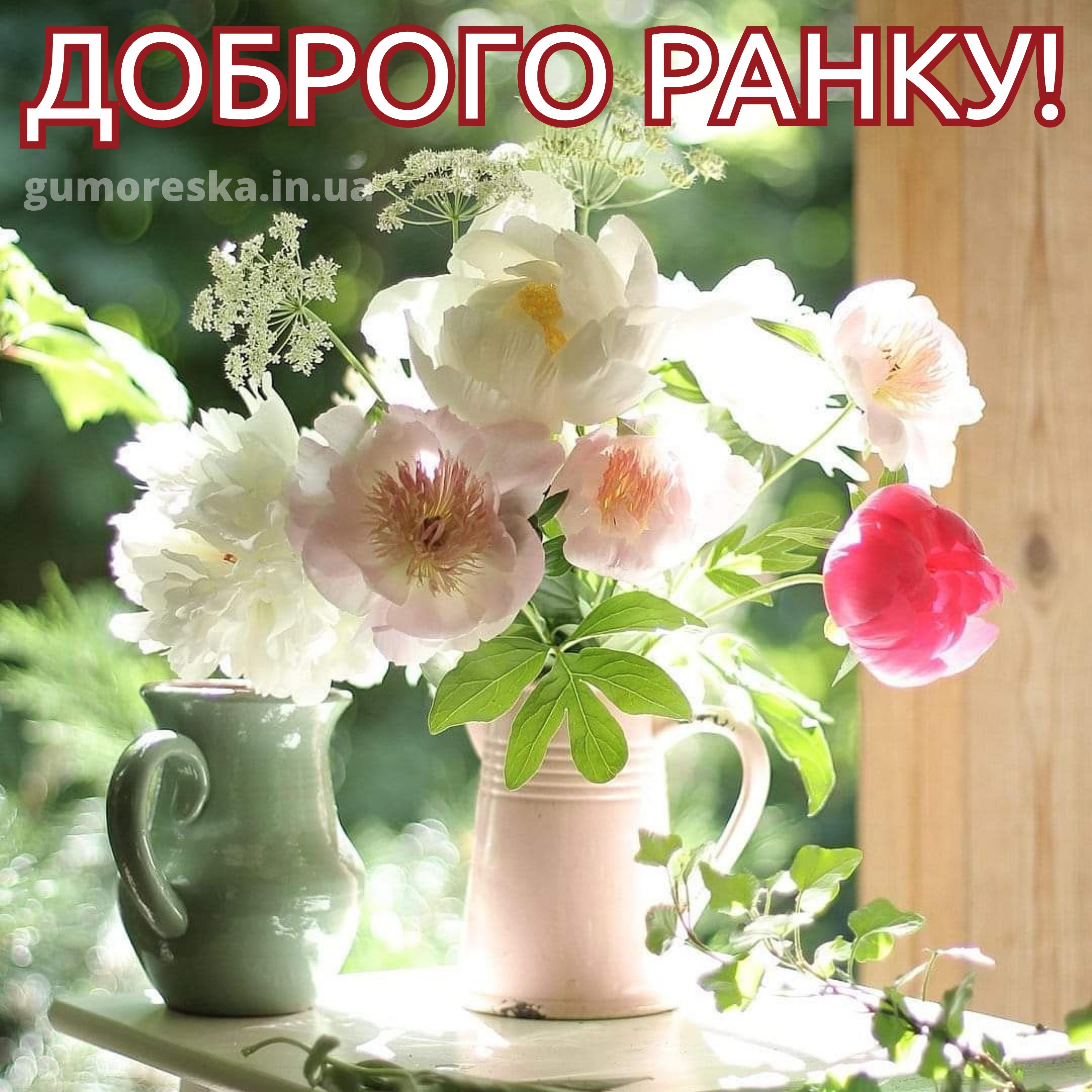 Добрейшего утречка цветы. Утренние цветы. Нежный цветок. Летние цветы в вазе. Нежные солнечные цветы.