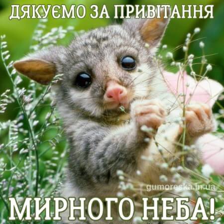 оригинальні подяка картинки дякую за привітання українською бесплатно