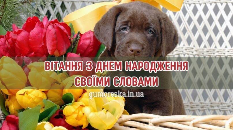 Привітання з днем народження своїми словами українською