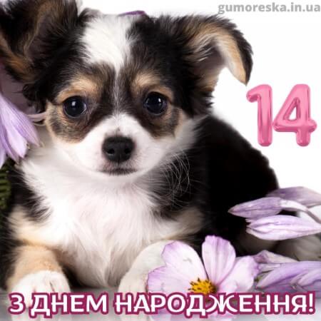 оригинальні листівки привітання з днем народження 14 рочків дівчинці українською