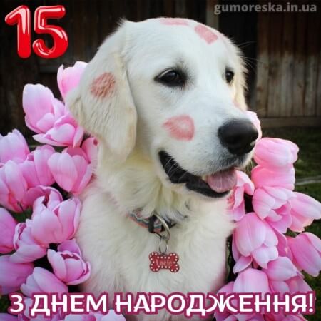 оригинальні листівки привітання з днем народження 15 рочків дівчинці українською