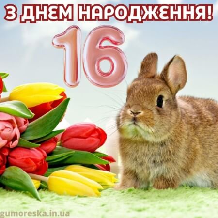 вітання з днем народження 16 рочків дівчинці батькам на українській мові