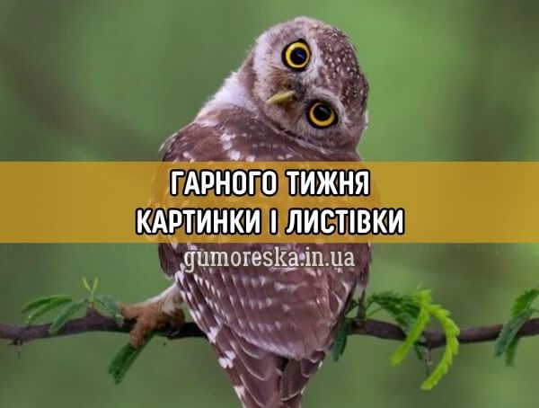 Привіт картинки і листівки українською
