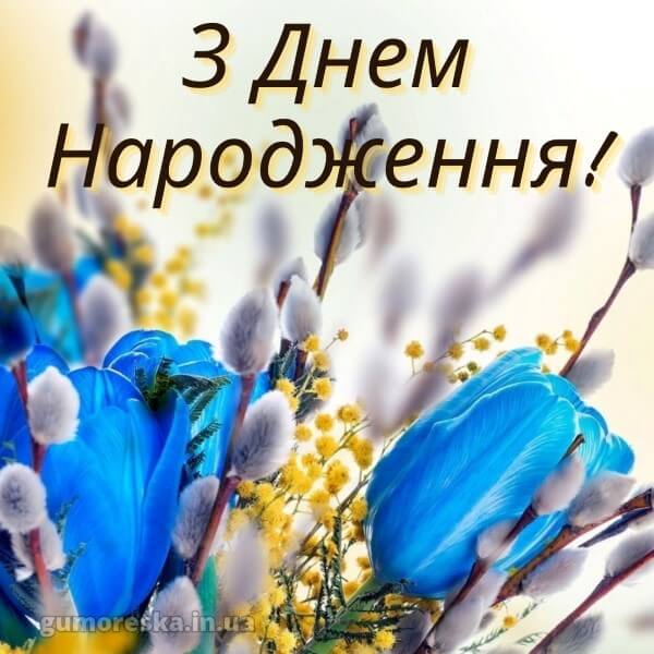 патріотичне привітання з днем народження картинки українською