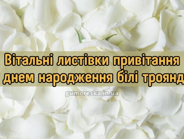 Вітальні листівки привітання з днем народження білі троянди