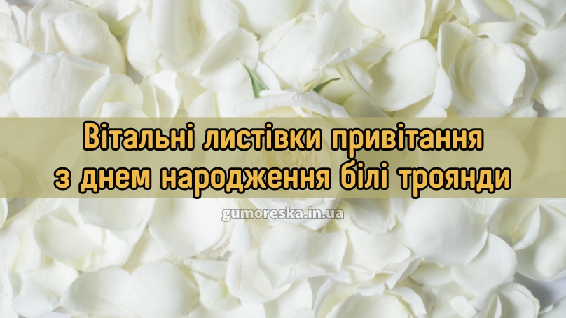 Вітальні листівки привітання з днем народження білі троянди