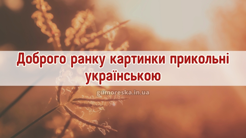 Доброго ранку картинки прикольні українською