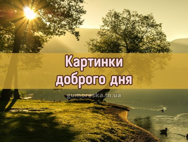 Картинки доброго дня