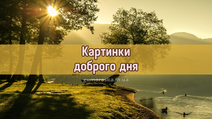 Картинки доброго дня