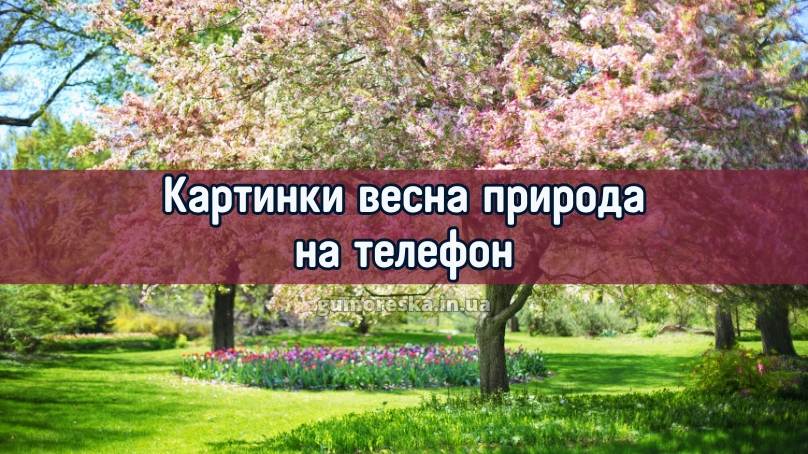 Картинки весна природа на телефон