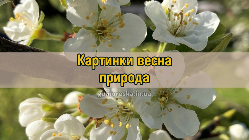 Картинки весна природа