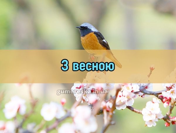 З весною