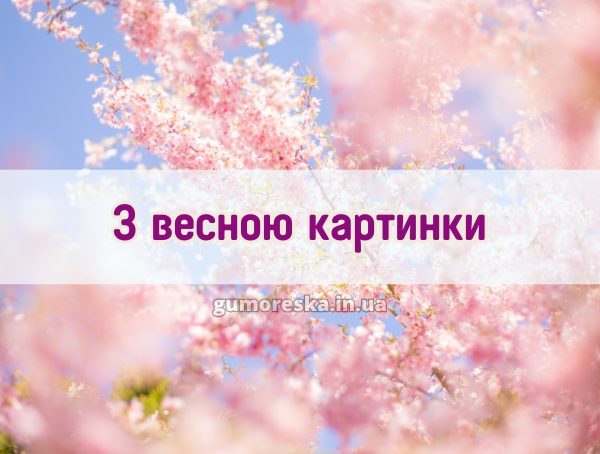 З весною картинки