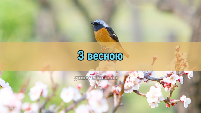 З весною