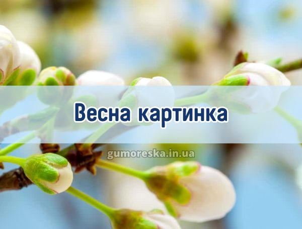 Весна картинка