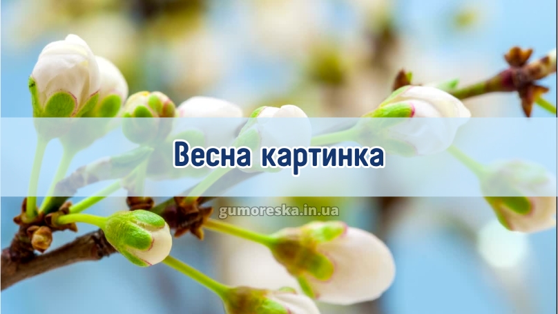 Весна картинка