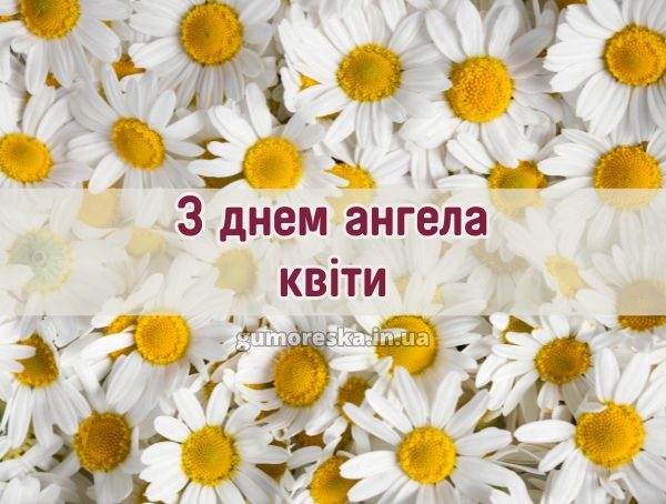 З днем ангела квіти