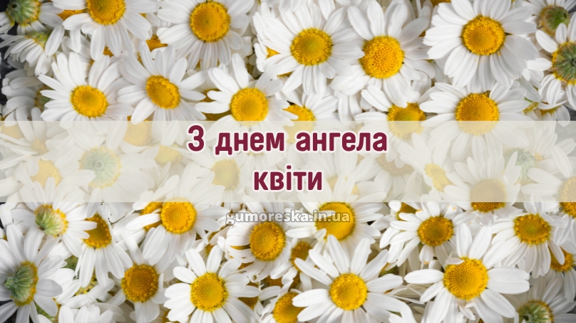 З днем ангела квіти