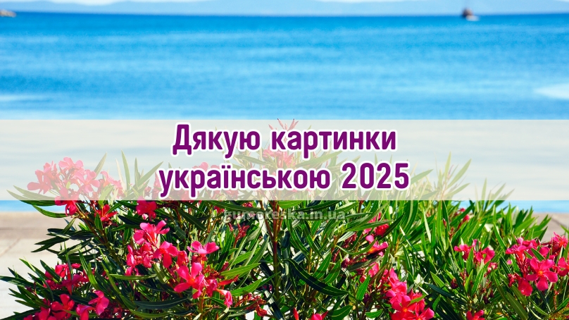 Дякую картинки українською 2025