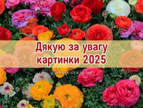Дякую за увагу картинки 2025