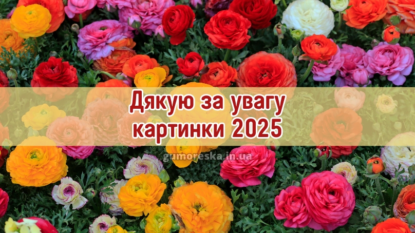 Дякую за увагу картинки 2025