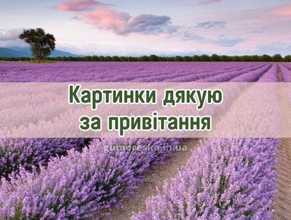 Картинки дякую за привітання 2025