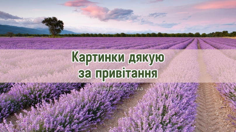 Картинки дякую за привітання 2025