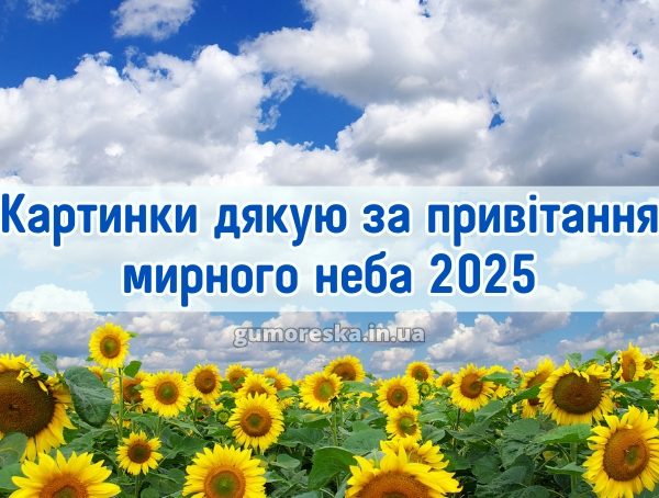 Картинки дякую за привітання мирного неба 2025