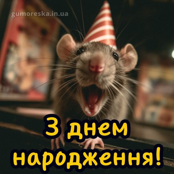 з днем народження