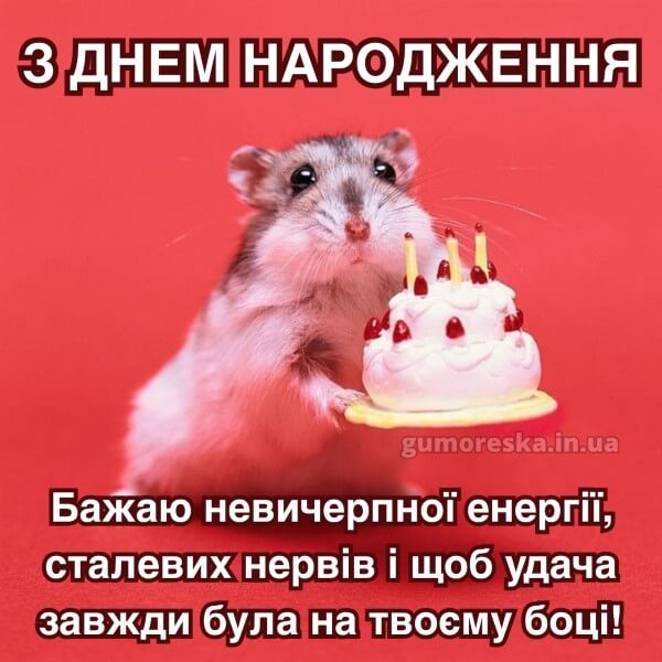 з днем народження