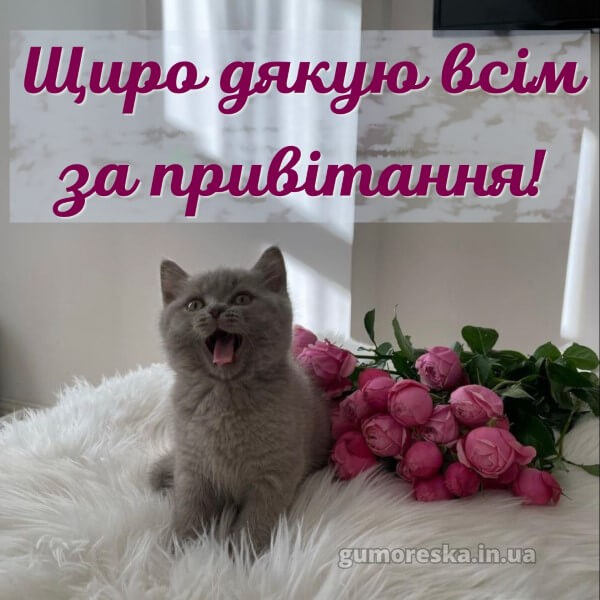 з днем народження картинки українською