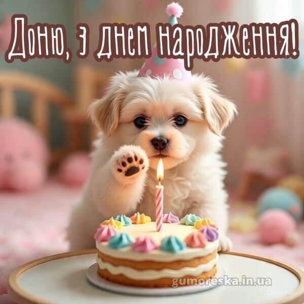 з днем народження